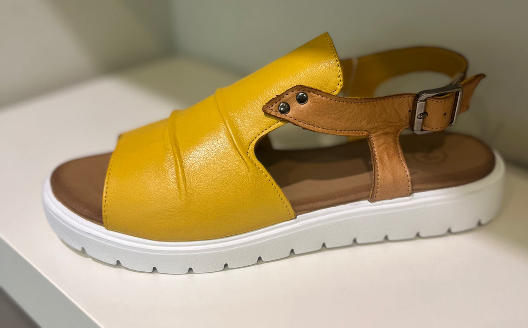 Modella Indy , Yellow