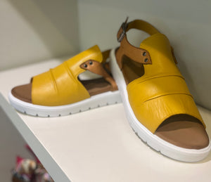 Modella Indy , Yellow