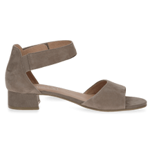 Load image into Gallery viewer, Caprice 28212 mud suede
